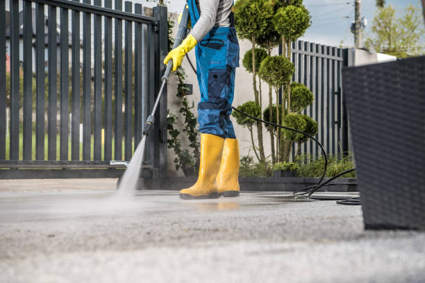 Best Sidewalk and Walkway Cleaning  in Eatonville, WA